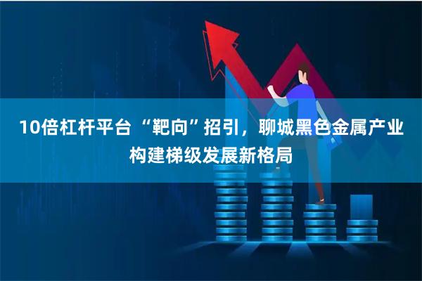 10倍杠杆平台 “靶向”招引，聊城黑色金属产业构建梯级发展新格局